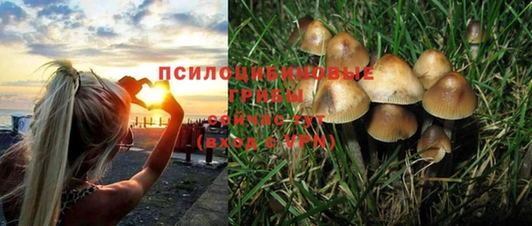 дурь Белокуриха