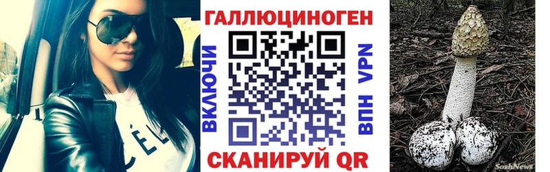 где можно купить Дигора Псилоцибиновые грибы прущие грибы